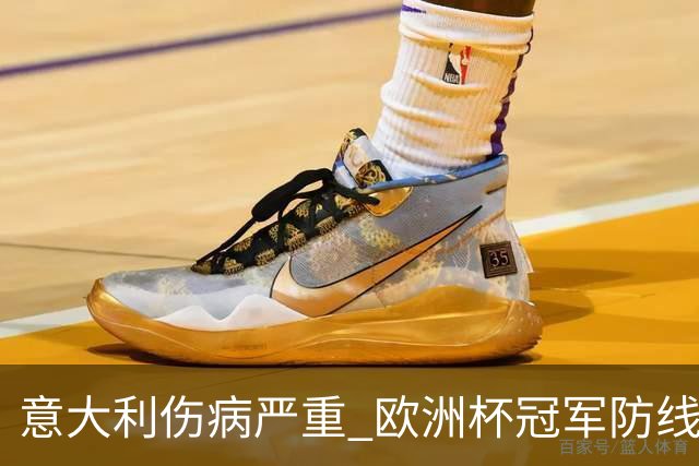 意大利伤病严重 欧洲杯冠军防线或全部无法上场